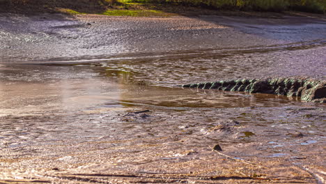 A-manmade-tidal-pool-with-people-gather-fish-as-the-water-level-goes-down---time-lapse