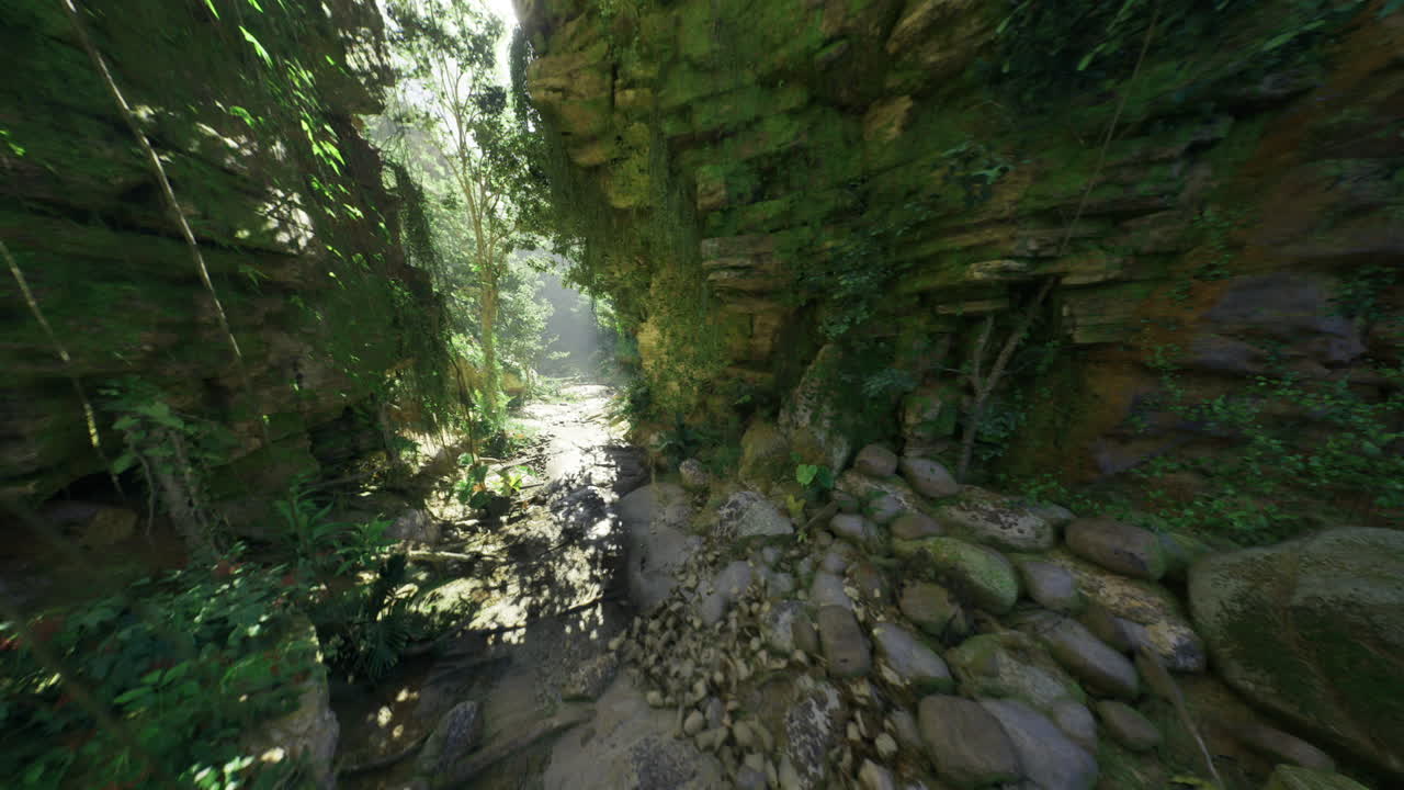 Calm rocky creek surrounded by moss and dangling roots creates solitude