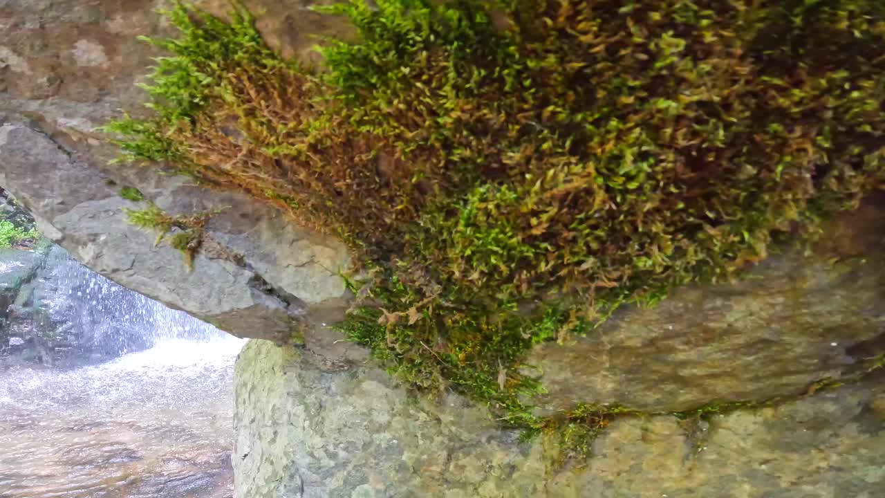 Cascada escénica