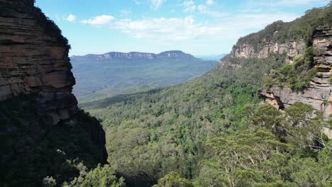 Grün-blauer-Eukalyptuswald-An-Der-Klippe-Der-Blue-Mountains,-NSW,-Australien