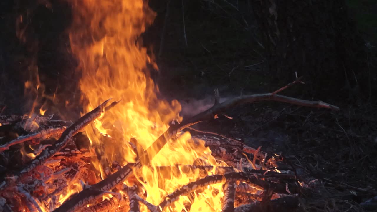 Gorgeous footage of a bonfire or a campfire or a large vibrant orange yellow fire burning during night time or dusk at a forest with sparks flying and hot embers glowing in the hot gray or grey ashes.