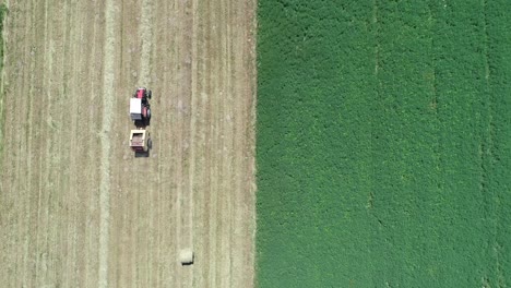 hay bales tractor harvester machine aerial top down in farming land