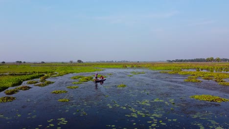 Vista-Aérea-De-Pájaro-Toma-De-Drones-De-Hombres-Indios-Pescando-En-Un-Bote-De-Canoa-Dhow-En-Un-Campo-De-Arroz-Sumergido-En-Agua-En-Kolkata,-Bengala-Occidental