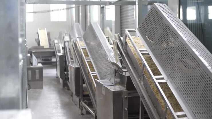 Cookie food cake factory on an assembly line, automated Cookies on a Conveyor Belt Production Line in a Factory, ready for packaging and distribution.