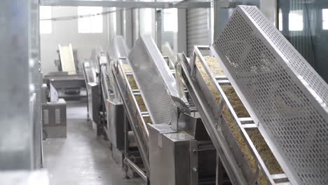 cookie food cake factory on an assembly line, automated cookies on a conveyor belt production line in a factory, ready for packaging and distribution.
