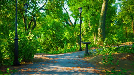 Caminos-En-La-Zona-Del-Parque