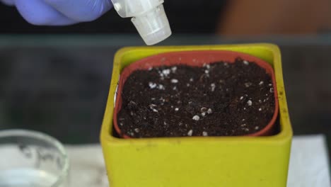 Close-up-shot-of-a-hand-in-blue-rubber-glove-with-spray-bottle-watering-a-planting-cup-full-of-soil-with-planted-seed-in-it