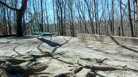 no people sit on a bench with a view of the forest, on a cool day, zoom in