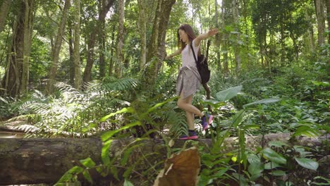 Girl Walking On Timber In Forest, Slow Motion