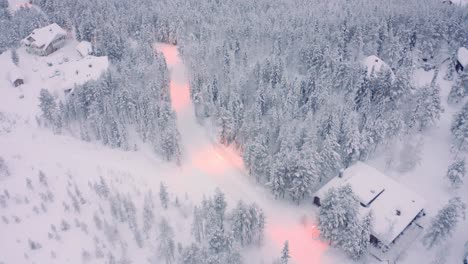 雪地松树林与道路和小屋,泰加<unk>德拉芬兰邻居拉回倾斜下无人机天线