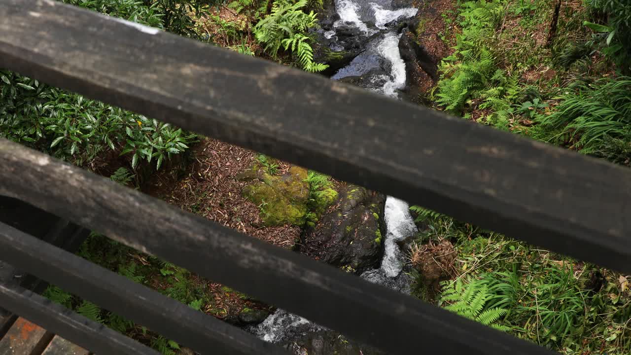 arroyo bajo un puente de madera en los senderos del parque das frechas, agualvaon en la isla terceira, azores, portugal