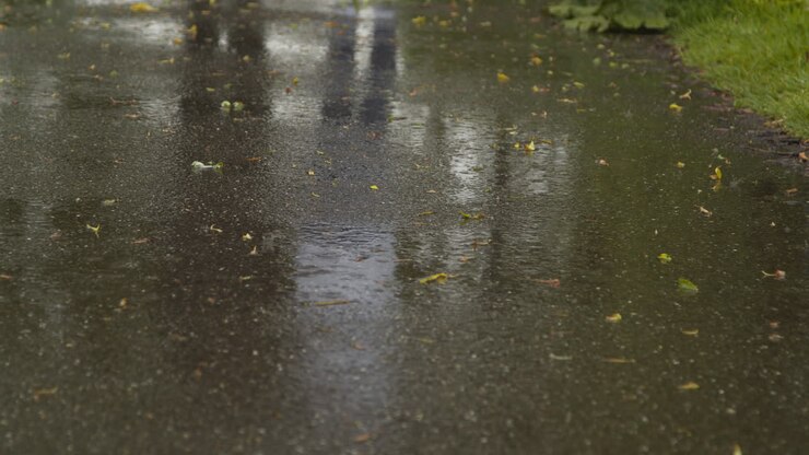 Primer plano de lluvia cayendo sobre un sendero que atraviesa un parque 2