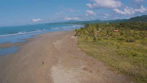 4k aerial drone shot of a perfect empty beach with long waves rolling on the shore at the pacific ocean in costa rica on a nice sunny day.