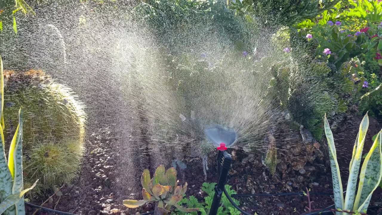 Lawn irrigation system, lawn sprinkler for watering grass and flowers.