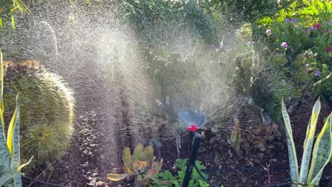 sistema de riego del césped, rociador de césped para regar el césped y las flores.