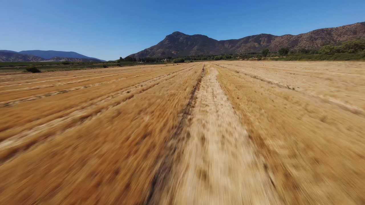 vuelo fpv sobre amplia pradera, santiago, chile