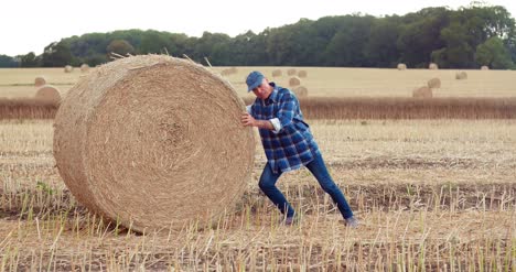 farmer struggling while rolling hay bale at farm