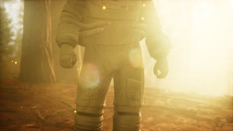 astronauta solitario en el bosque oscuro