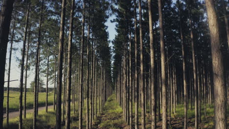the conservation of nature enriches our planet