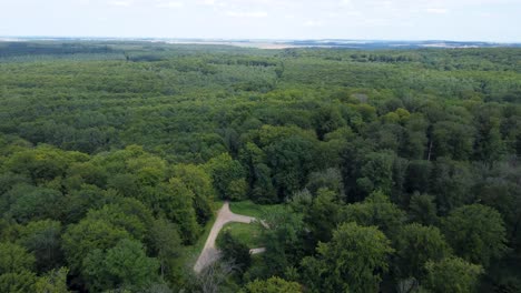 Toma-Aérea-De-Un-Camino-En-El-Bosque,-Francia