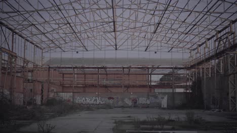 abandoned warehouse - walking backwards inside with wild vegetation and murals