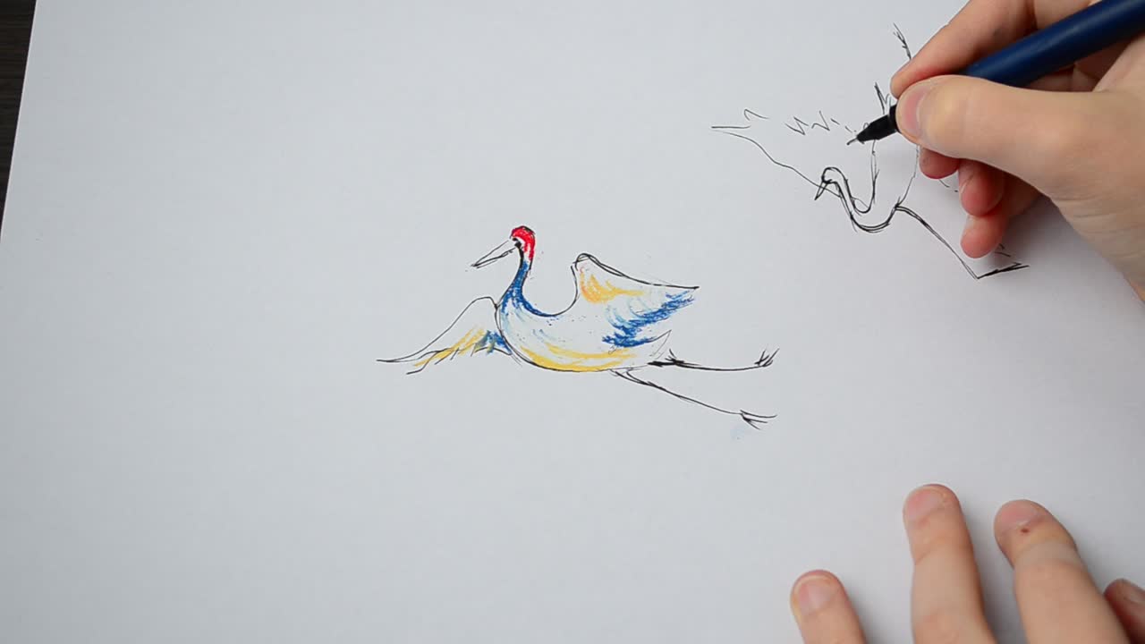 Dibujamos una garza en el cielo. Proceso de dibujo