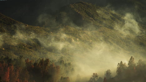 wildfire smoke blowing through forest valley