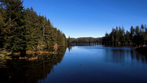 a drone flying low over a river with tress on the left side and a bridge on the right side