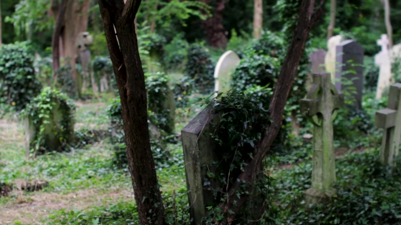 Una panoramica su diverse lapidi ricoperte di vegetazione in un angolo nascosto del famigerato cimitero di Highgate a Londra, a Hampstead Heath.