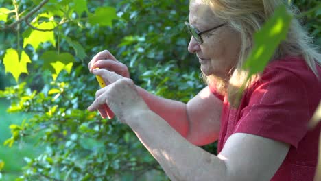 Elderly-female-Communicating-with-family-via-Smartphone-outdoors