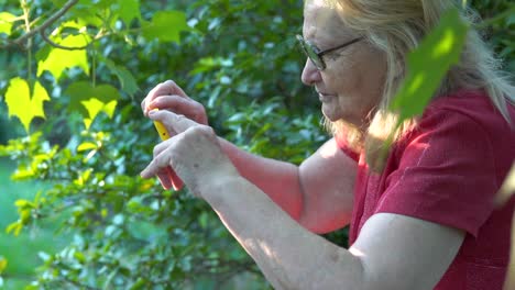mujer anciana comunicándose con su familia a través de un teléfono inteligente al aire libre