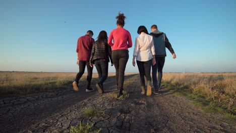amigos caminando por un campo