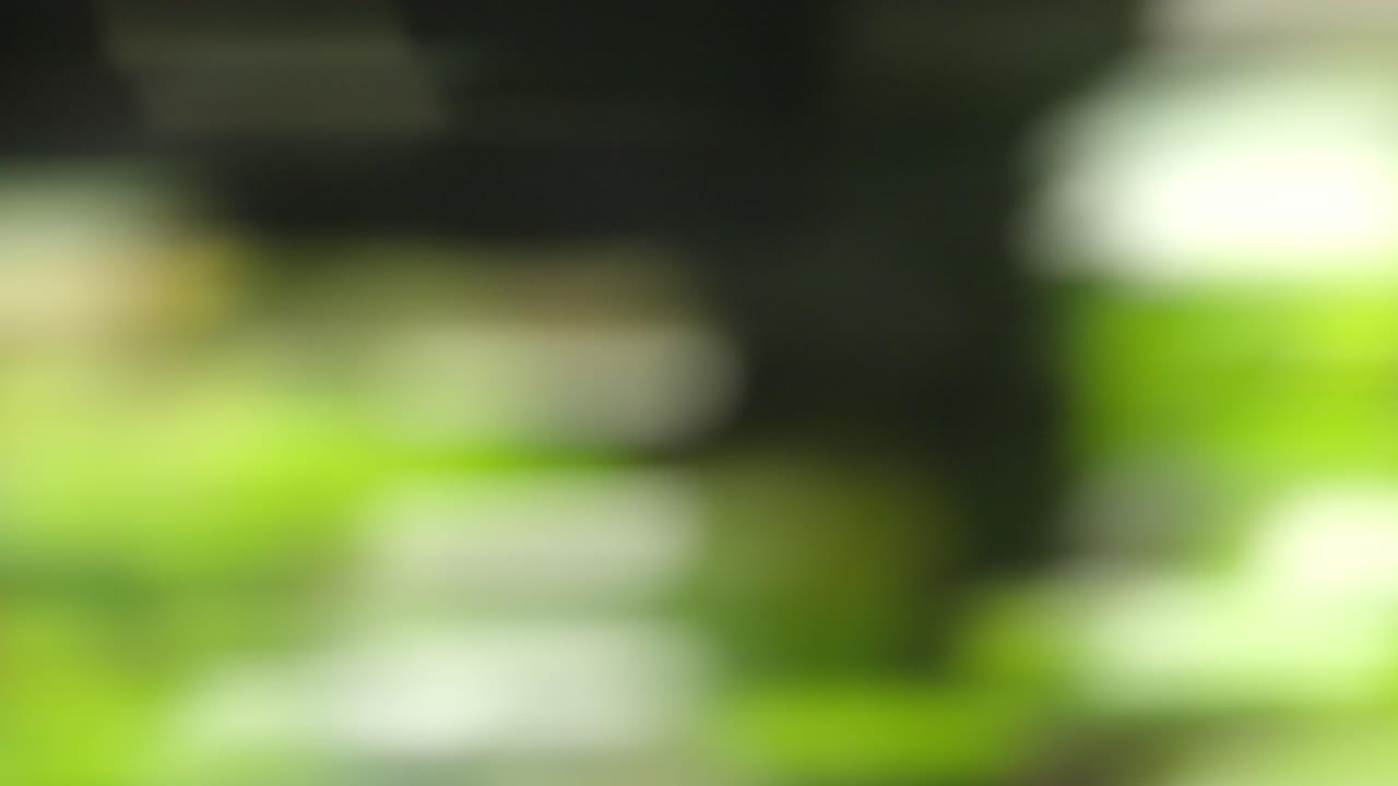 fondo de naturaleza borroso