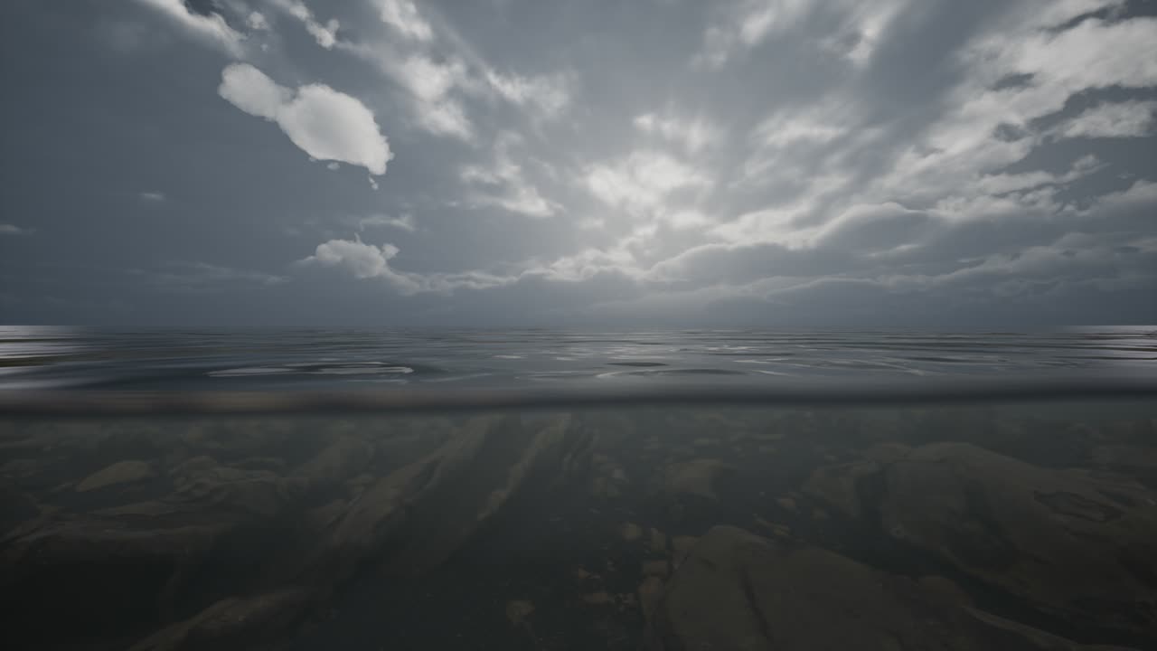 절반의 물 바다 물선 아래에서  ⁇