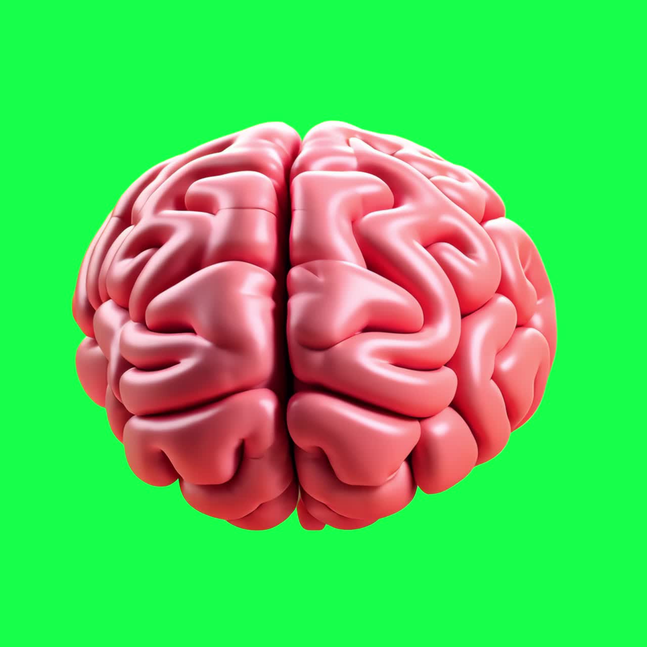 3D brain model illustration animation, transparent 4K video, green screen