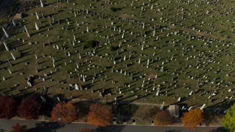 High-angle-view-of-various-tombstones-on-green-lawn.-Autumn-trees-along-path-in-old-Calvary-Cemetery.-Queens,-New-York-City,-USA