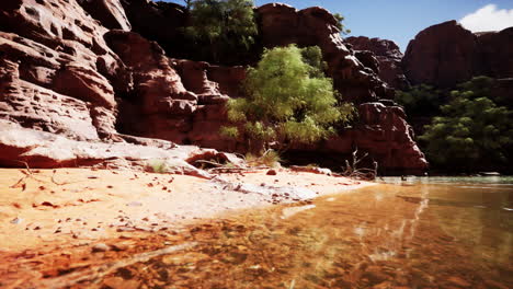 a scenic view of a canyon with a river and trees