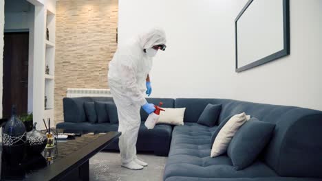 bedbug infestation and treatment service