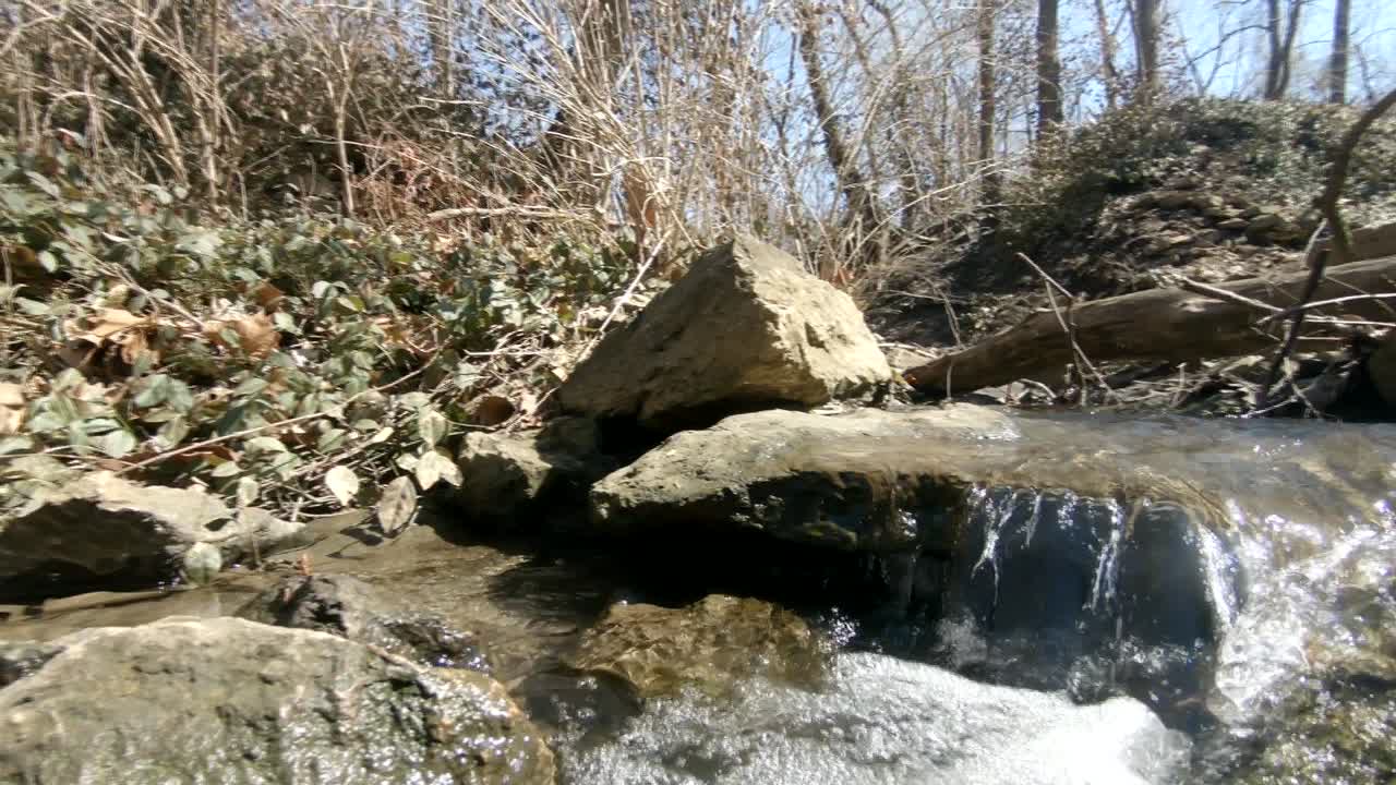 A stroll through the Raytown public park.