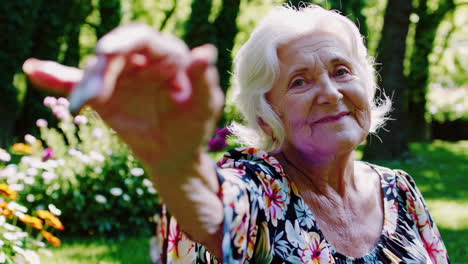 Senior Woman Smiling in a Park