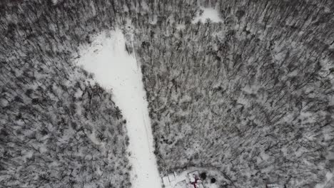 Skiing-sport,-winter-snow.-Trees-in-forest-covered-with-show.-Cold-winter-snowing-weather.-Skiing-resort.-Ukraine,-Kiev