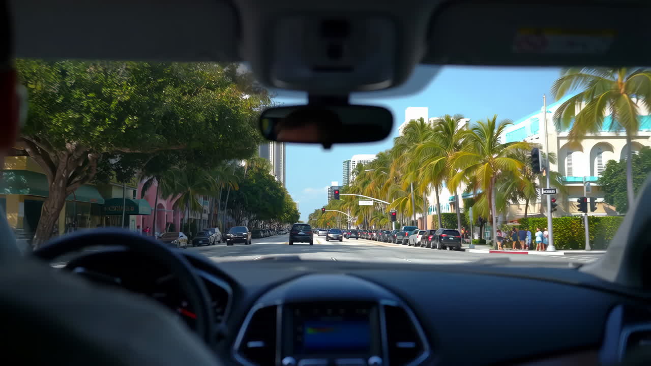 View from inside a car driving down a sunny city street lined with palm trees