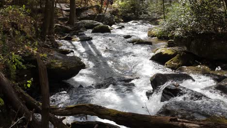 Sparkling-river-water-streams-downhill-from-Anna-Ruby-Falls,-4k,-60fps