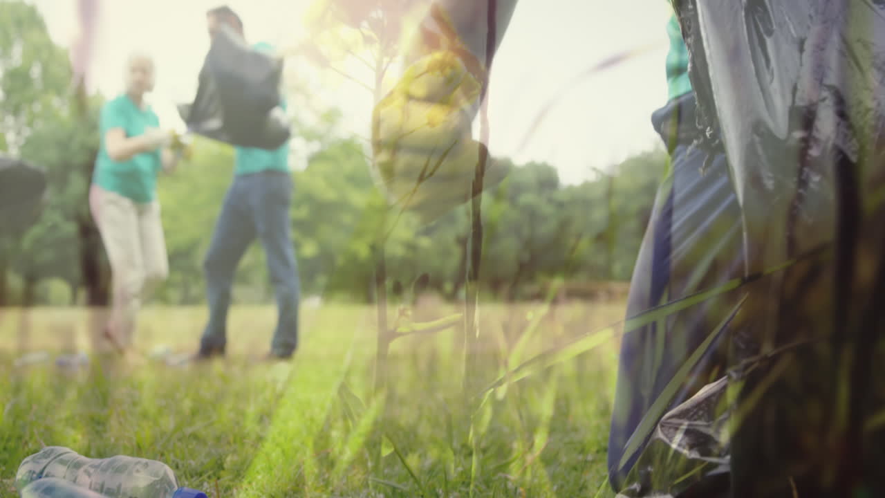 정원에서 재활용 4k