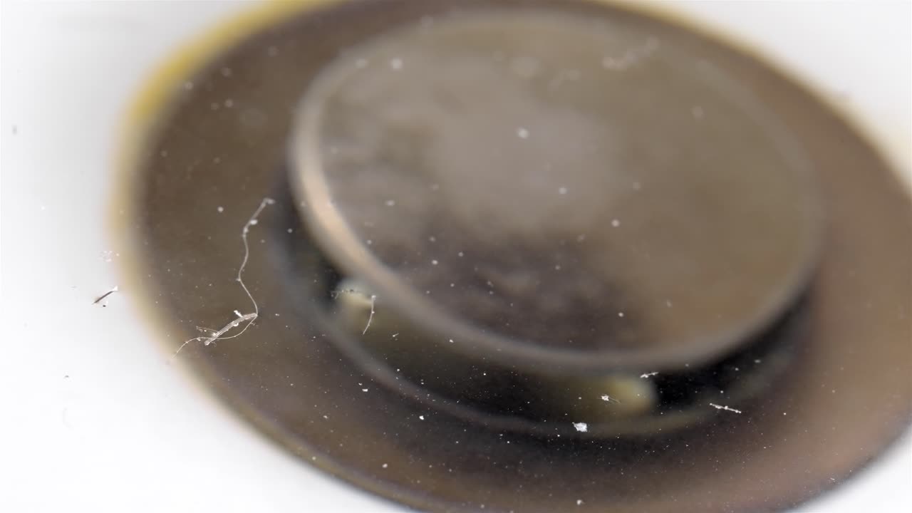 Hair-Clogged Bathroom Drain, Close-Up Footage