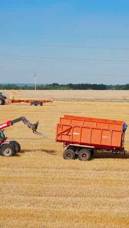 autumn seasonal grain fields. agricultural farming landscapes. vertical video
