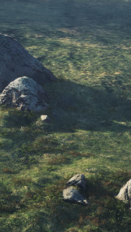 campo verde con rocas