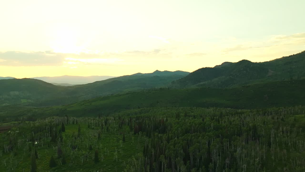 Rolling Steamboat Springs hills and forested slopes bathed in soft summer sunlight, aerial pullback with yellow sky