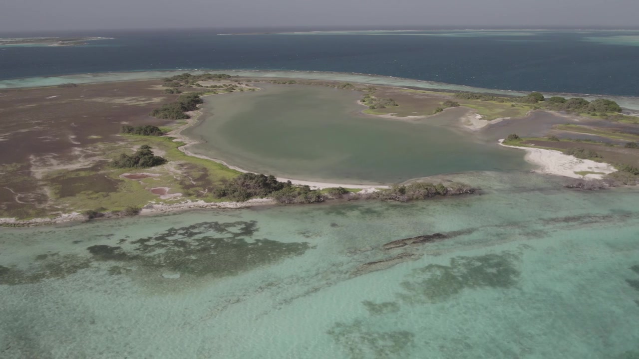 Luchtfoto van een heldere lagune, koraalrif en mangroven aan de kust van een Caribisch eiland