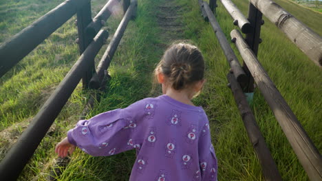 toddler girl walking uphill along wooden fence trail walkway - back view tracking